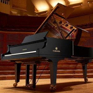 Our New Baby Grand