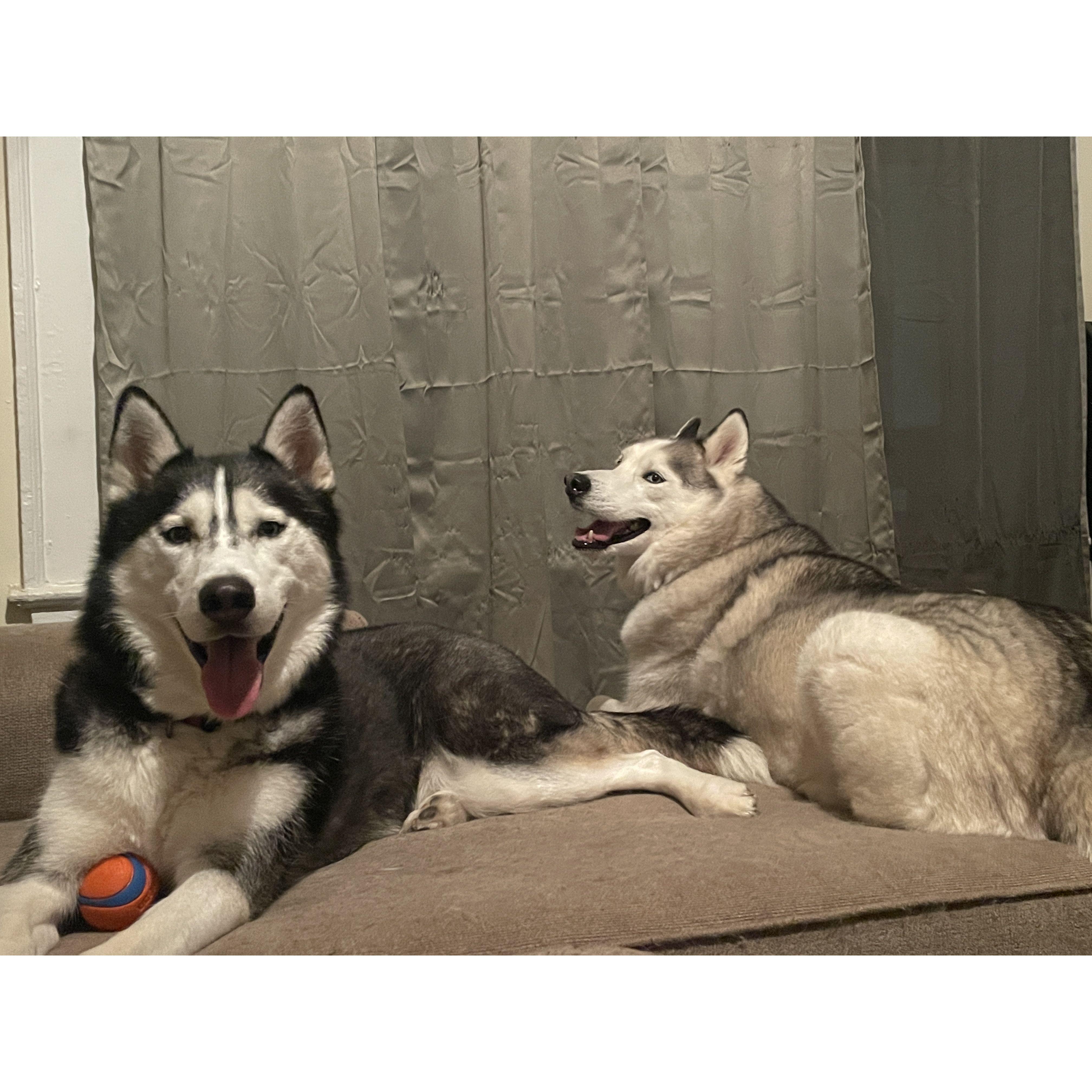 Their wedding wouldn't be complete without their fuzzbucket children, Aurora and Zeke! They'd invite the cats too, but they figured the guests would already be taking enough allergy medicine!