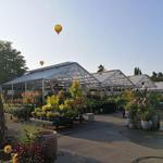 Molbak's Garden + Home