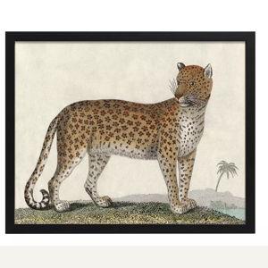 "Vintage Jaguar I" in Black Frame by Whalebone Creek Prints
