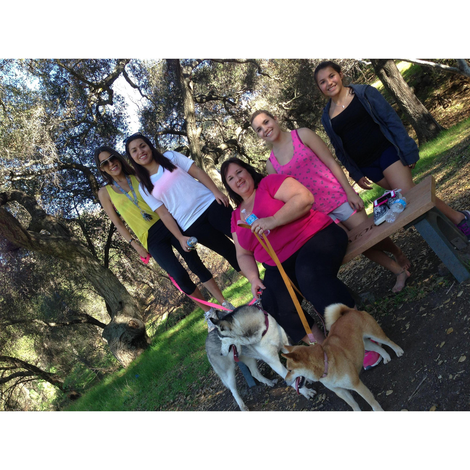 HIKING 2013