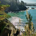 Russian Gulch State Park