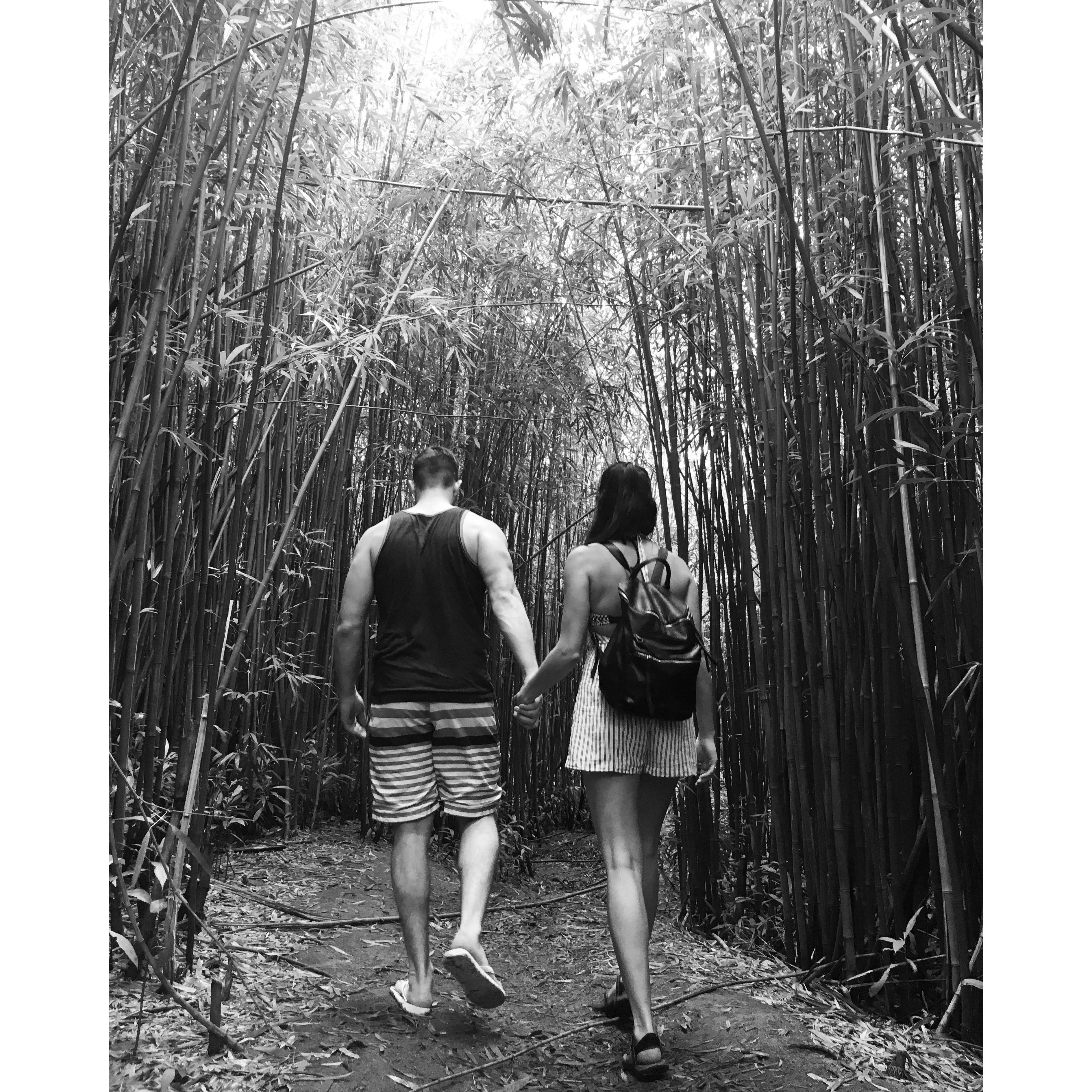Hiking in bamboo forest, Big Island, Hawaii