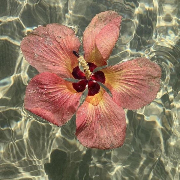 Honeymoon