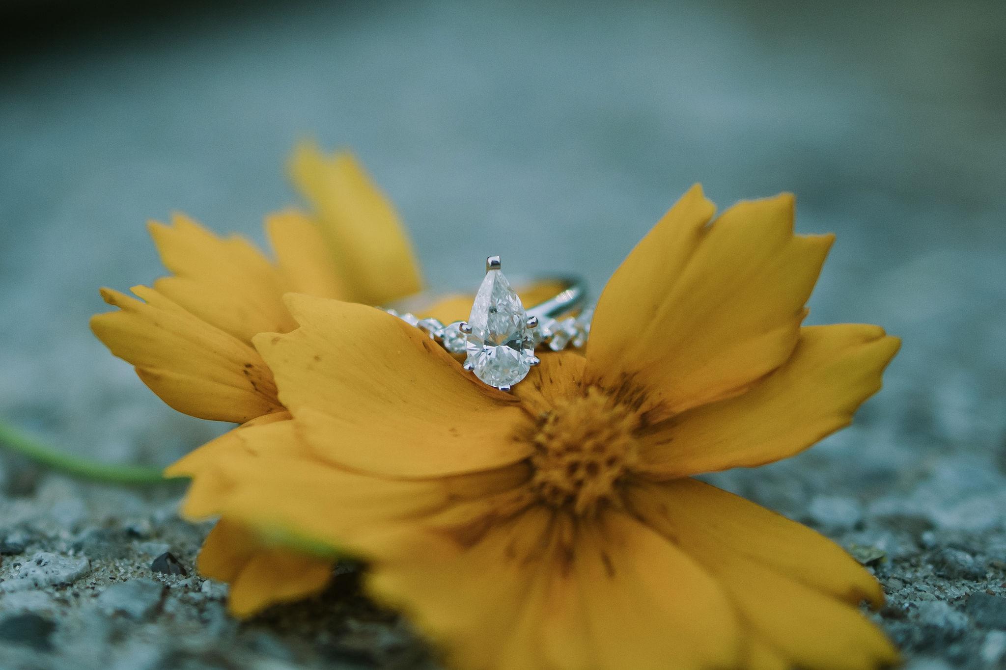 The Wedding Website of Corrine Skaggs and Casey Hyland