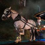 Old South Carriage Company