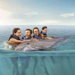 Dolphin Cove