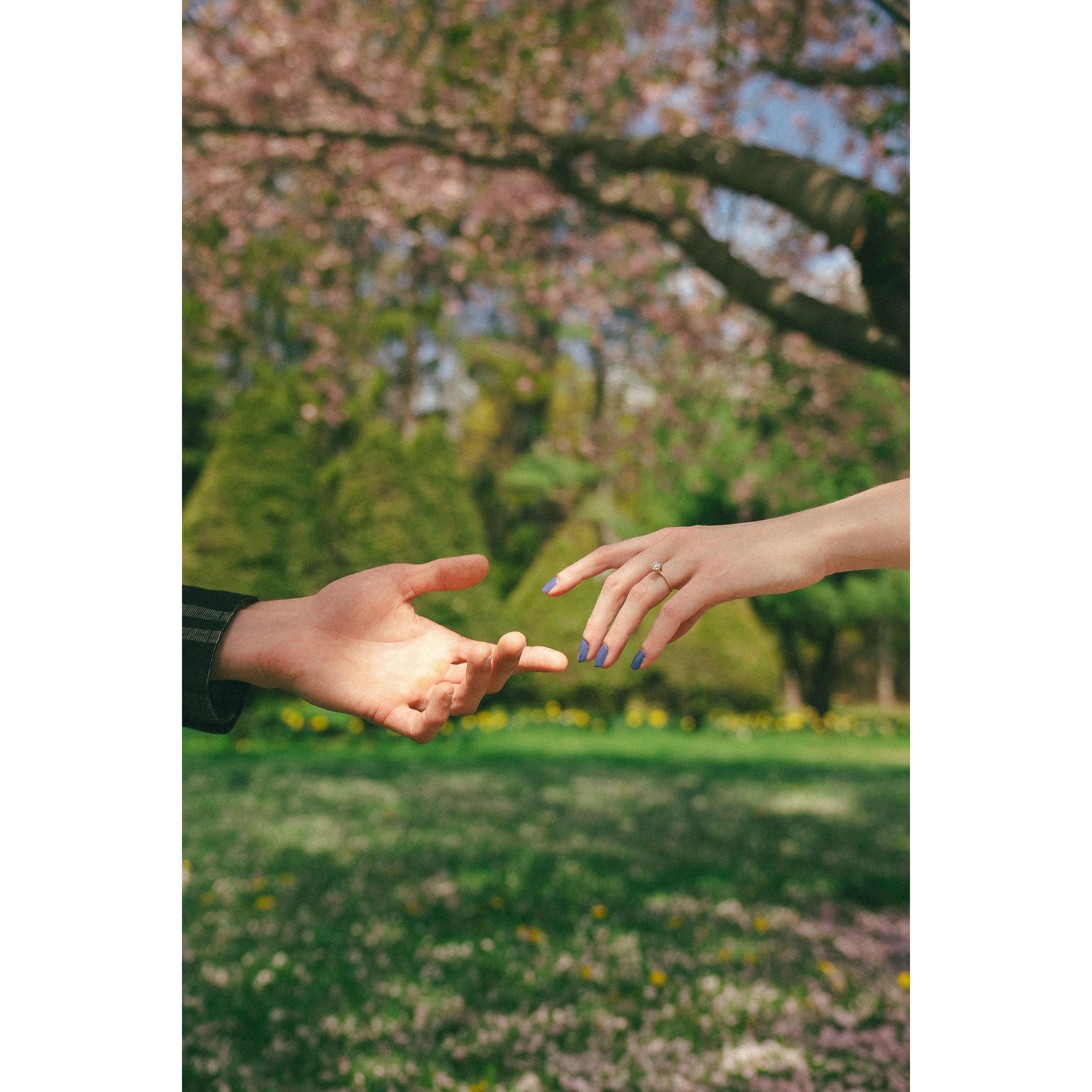 Engagement photos 2025