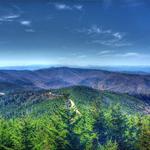 Mount Mitchell State Park