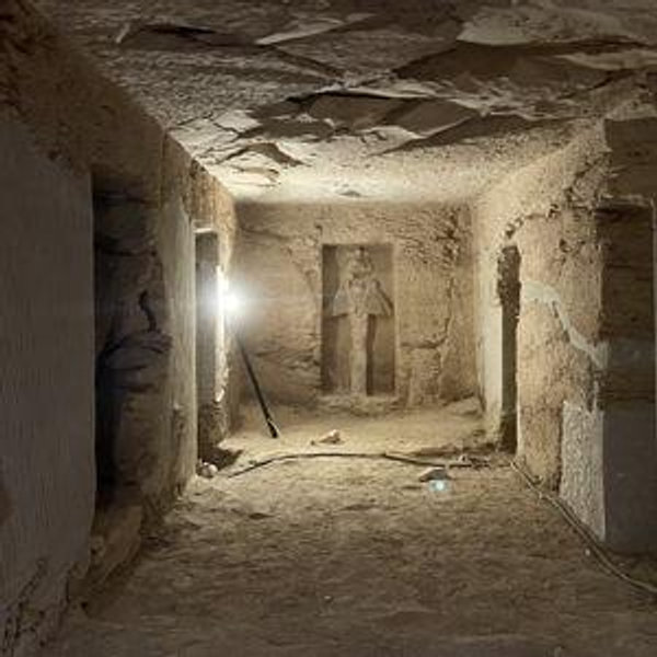 private session with doctor Ali Rhoda at the valley of the kings