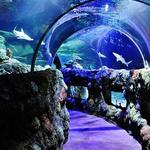 SEA LIFE Kansas City