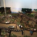 Carnegie Museum of Natural History