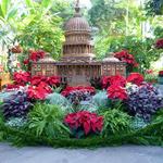United States Botanic Garden