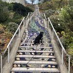 16th Ave Tiled Steps
