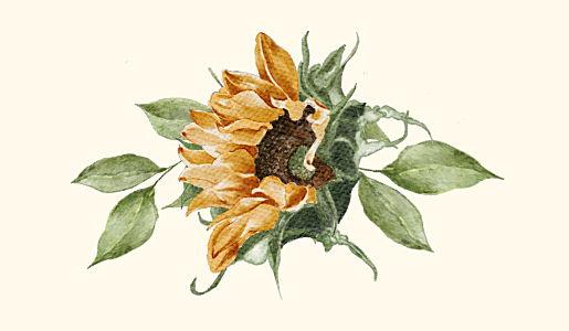 Footer image