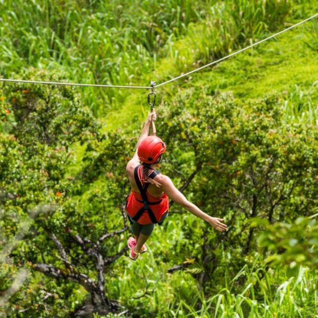 Zip-lining during honeymoon