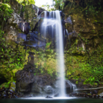 THE LOST WATERFALLS TRAIL