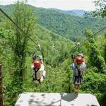 Zipline and Adventure Parks