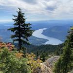 Mount Ellinor Upper Trailhead