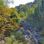 Purgatory Creek Natural Area