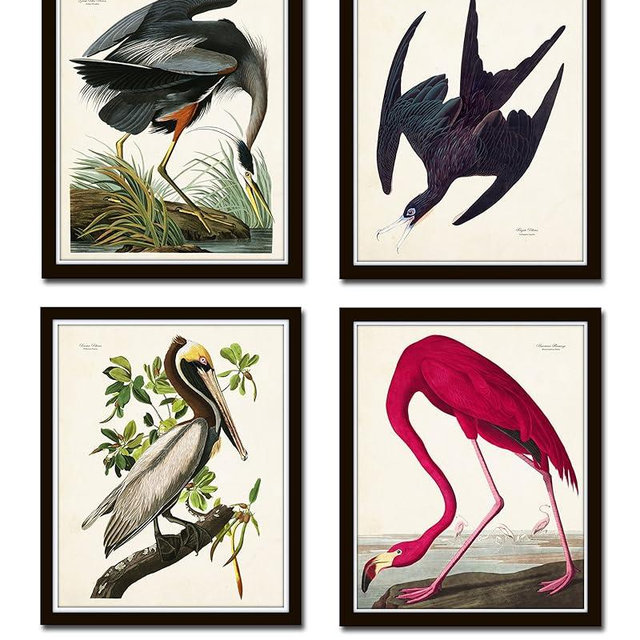 Audubon Sea Birds Print Set No.2 Set of 4 Vintage Audubon Bird Prints - Unframed - Nature Decor, Vintage Prints, Nature Wall Decor, Bird Art, Vintage Art Prints, Vintage Bird Prints, Wall Art Nature