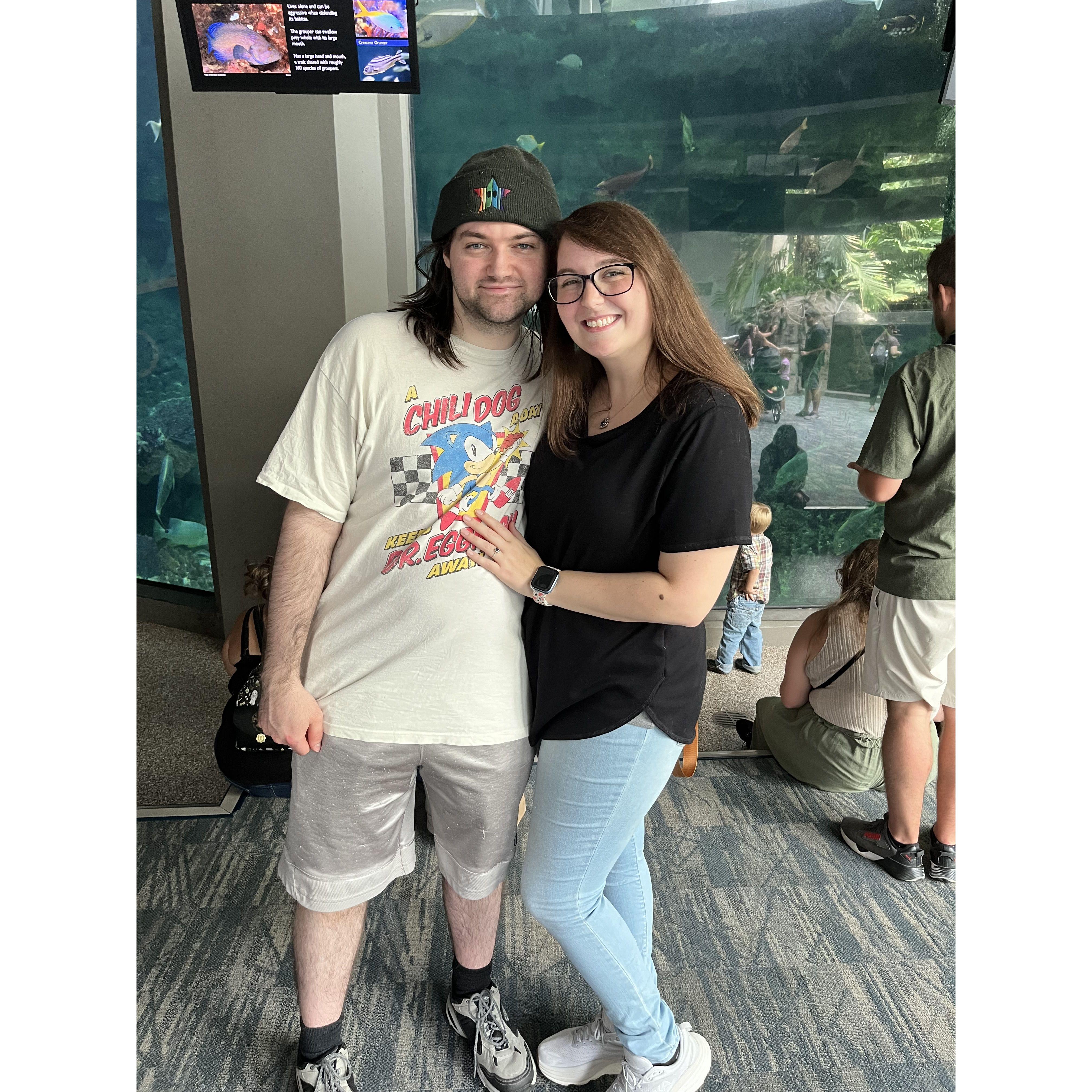 Enjoying a fun surprise date at the Pittsburgh Zoo!