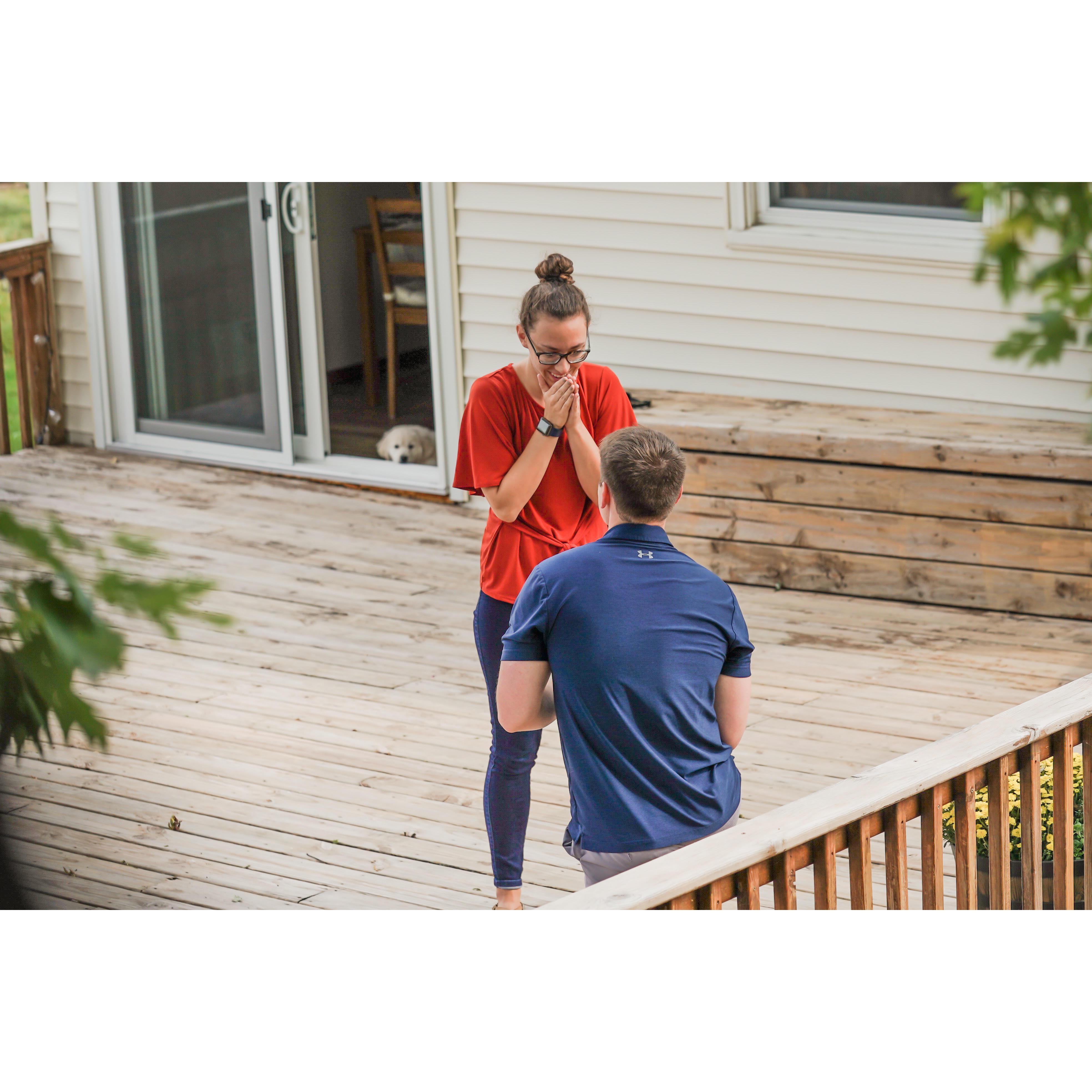 Ty had already planned for Morgan's family to come visit the day he proposed. She thought they were coming to meet the puppy.