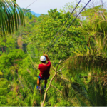 * A la Carte * Jungle Zip-Lining and Waterfall Hiking Tour