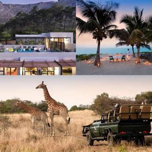 Safari Honeymoon Fund