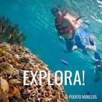 Puerto Morelos Reef Snorkeling
