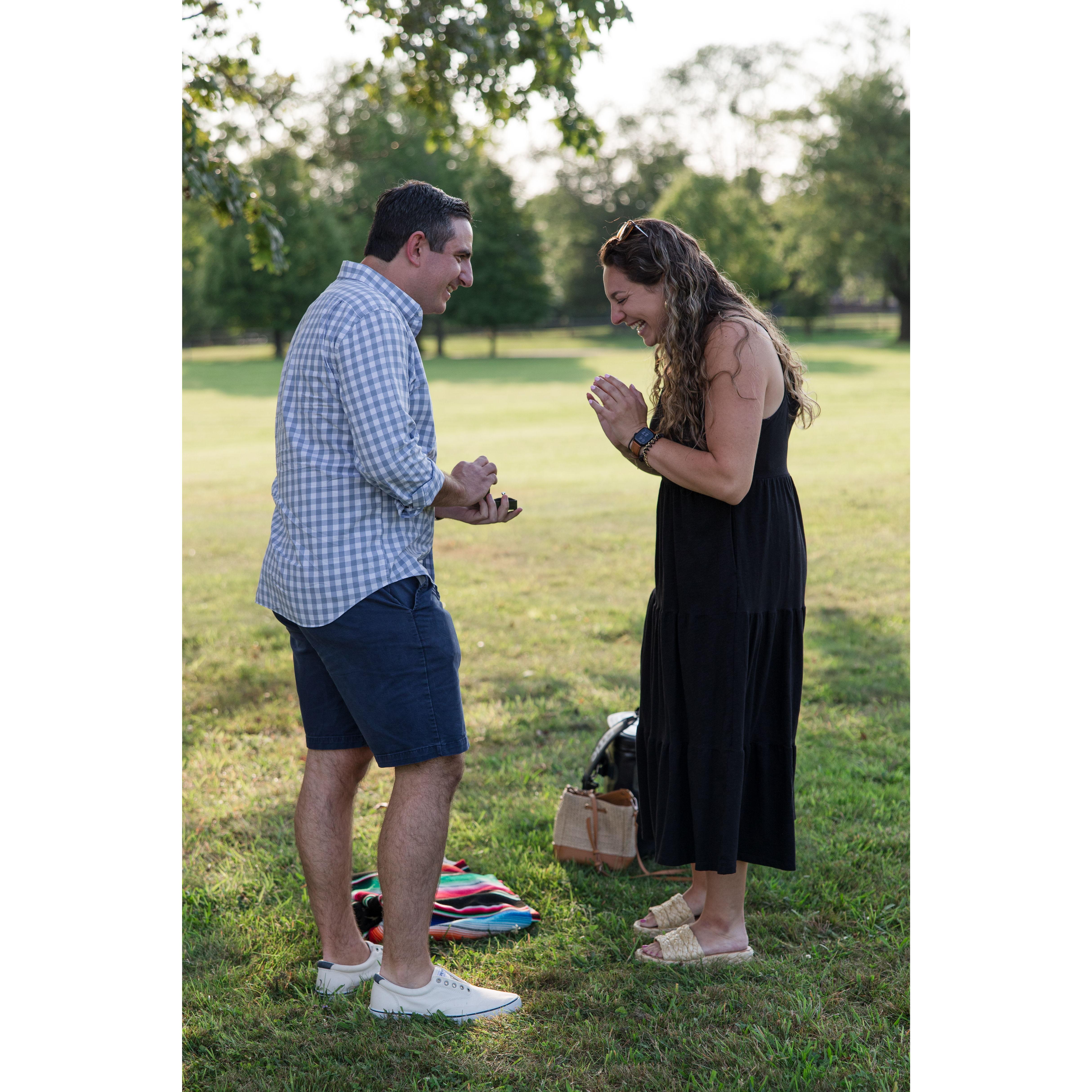 Proposal in Waveny Park, July 2024
