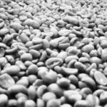 Declination Roasting Company