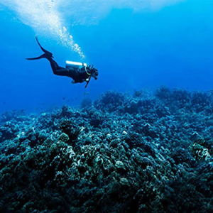 Honeymoon: Scuba Diving in Split, Croatia