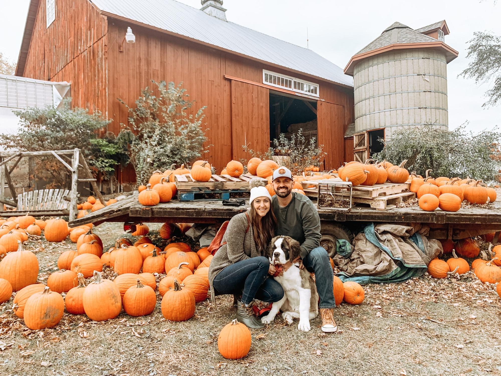 Frito’s 1st Pumpkin