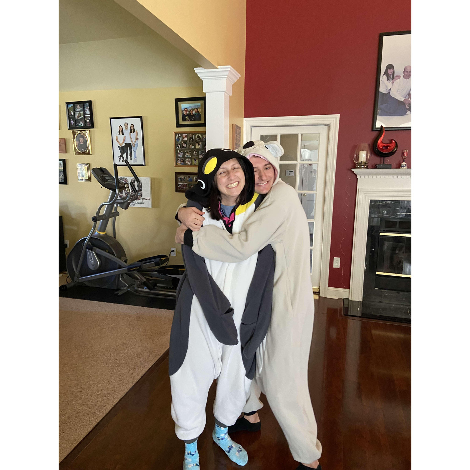 Just a penguin and koala in their natural habitat
