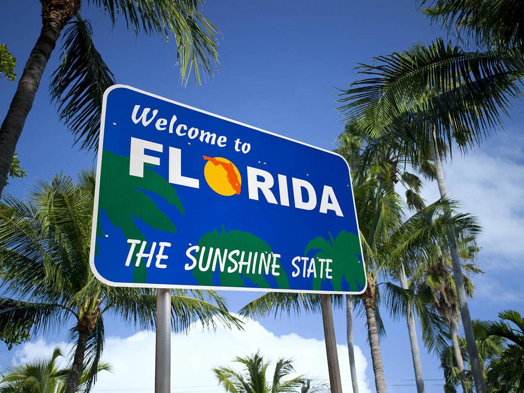 The Wedding Website of Caitlin Wilkerson and Alexander Kleineschay