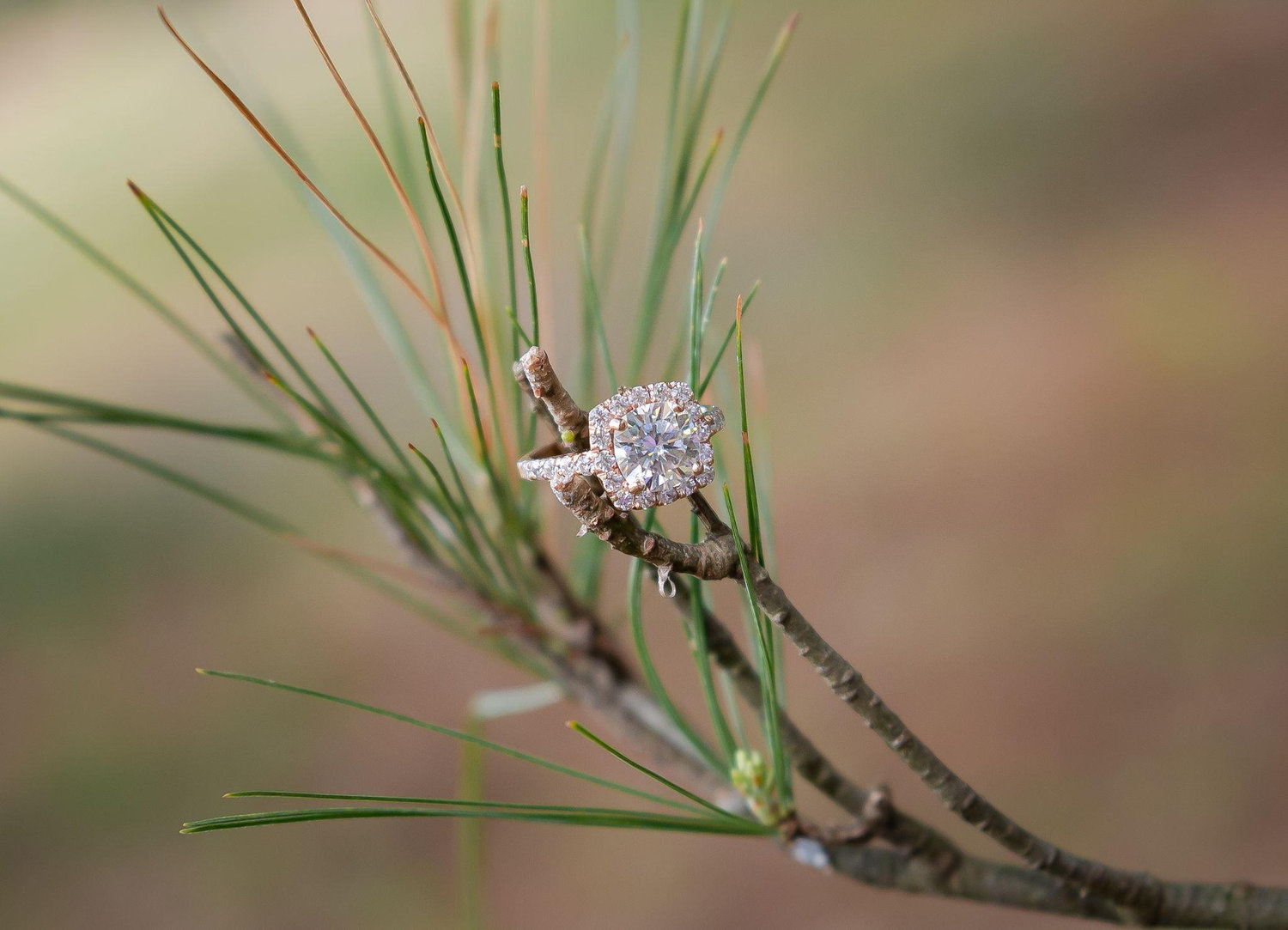 The Wedding Website of Jessica Muntian and Ryan Ruffner