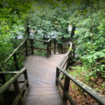 Raven Rock State Park