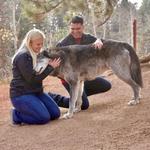 Colorado Wolf and Wildlife Center