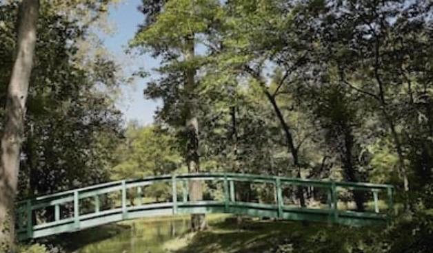 The Wedding Website of Susan D. Smith and Ron A. Hutcheson