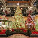 Bellagio Conservatory & Botanical Gardens