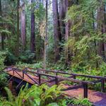 Simpson-Reed Trailhead