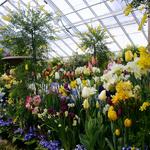 The Botanic Garden of Smith College
