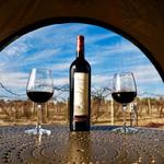 Alexis Bailly Vineyard