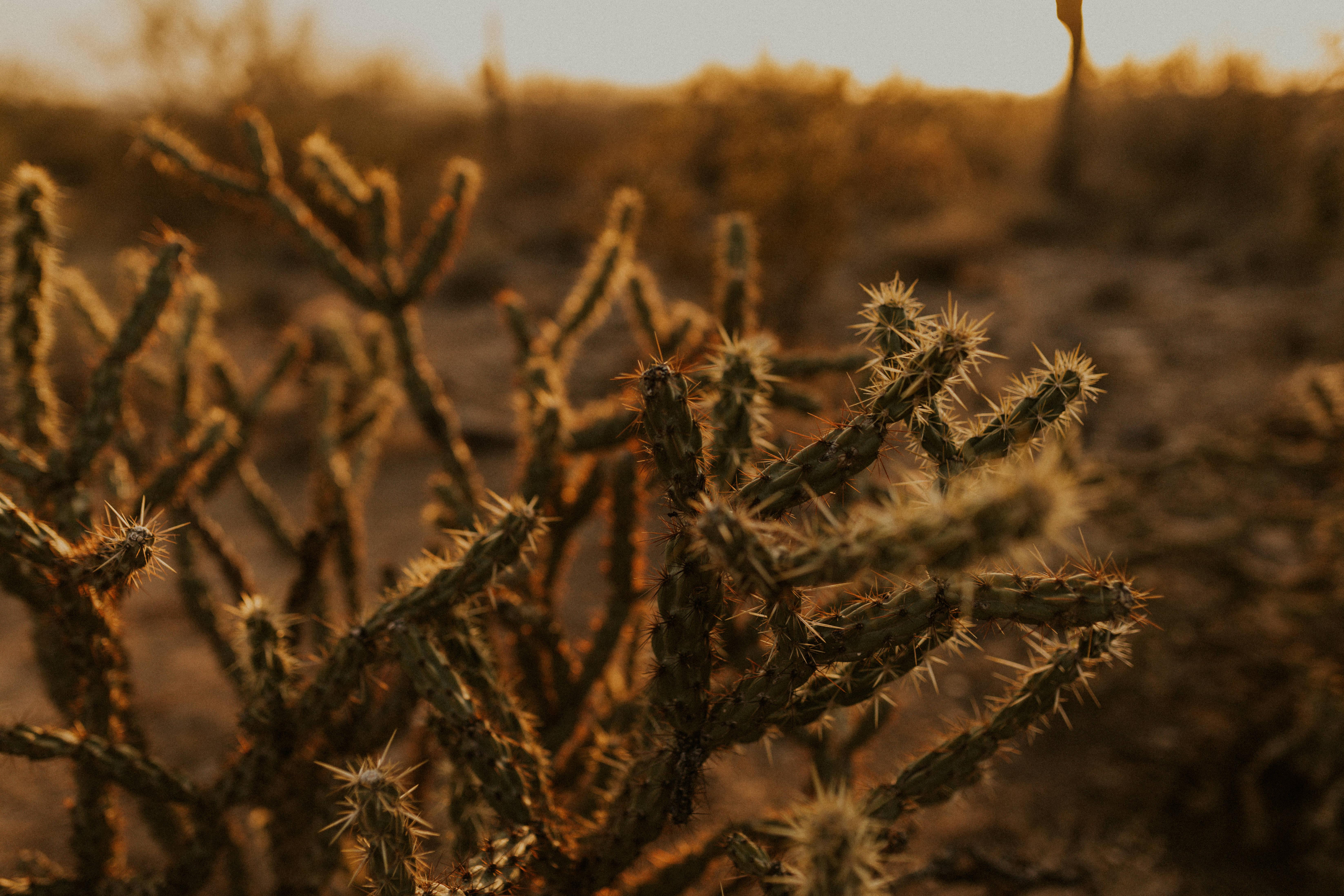 The Wedding Website of Karla Torres and Thomas Esposito