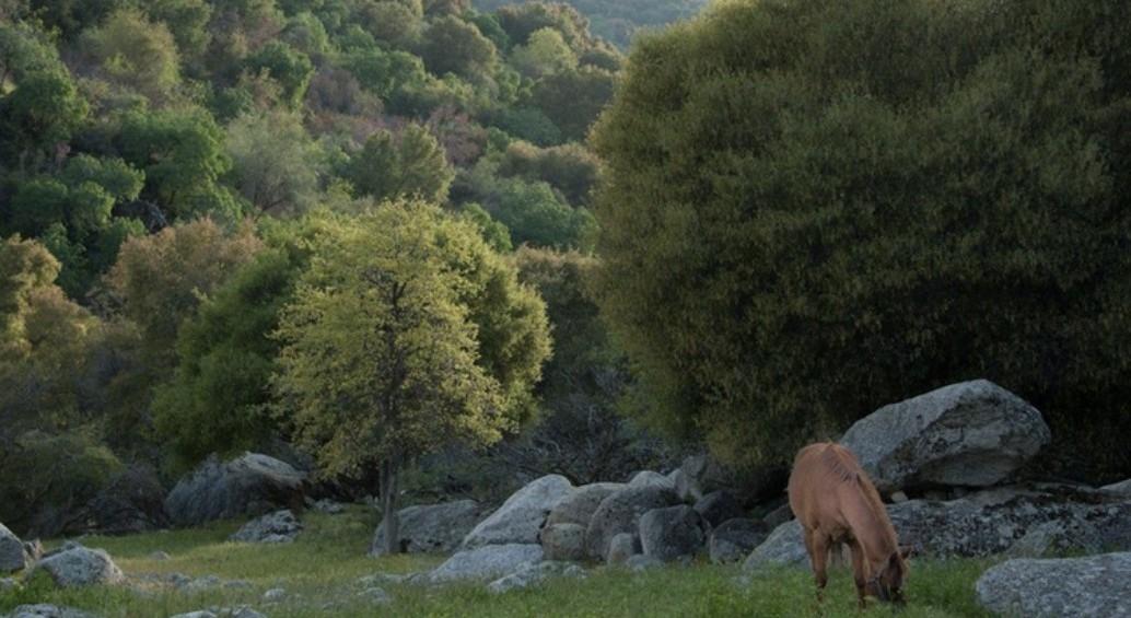 The Wedding Website of Breanna Lyn and Kyle England