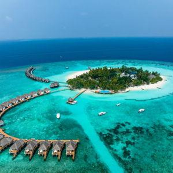 Honeymoon Fund!