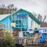 Ripley's Aquarium of the Smokies