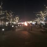 New York Botanical Garden