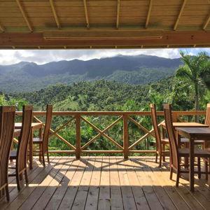 $90 Dinner for Two in Rainforest